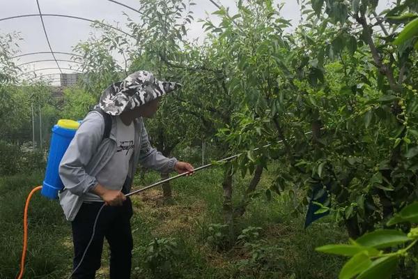 唑醚代森联可以与磷酸二氢钾混用吗，混合使用没问题