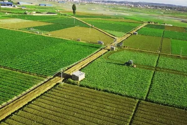 农业生产发展的新趋势，区域农业和合作农业或将成为主流模式