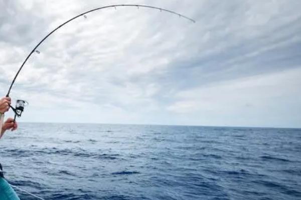 西南风天气能钓到鱼吗，鱼儿的活性明显下降