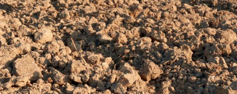 如何快速改良土壤板结，增施有机肥少施化肥