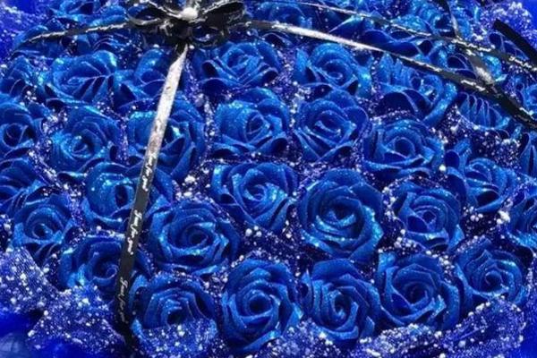 蓝色妖姬的花语是什么，深深的爱恋、诉不尽的浪漫情怀