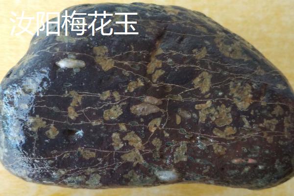 河南省汝阳县特产介绍，历史名酒杜康的发祥地