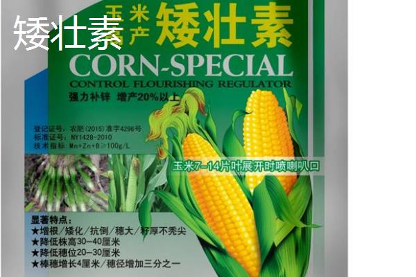 矮壮素和多效唑的区别，应用范围、施用方法均不同