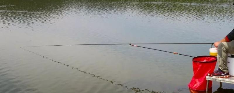 水库钓鱼钓多深合适，1.5米到3米之间最常见