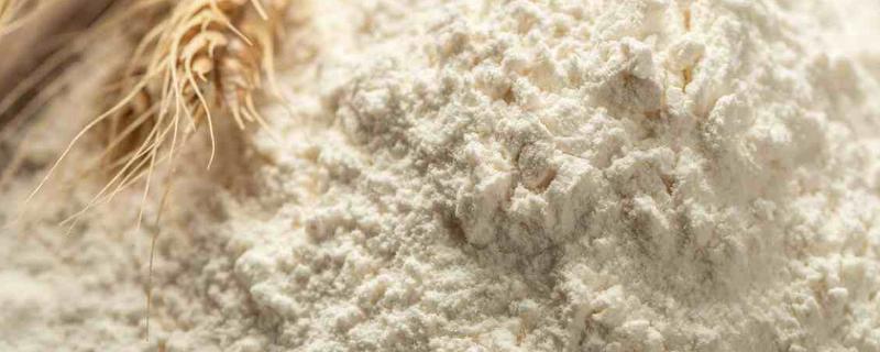 贵的面粉和便宜的区别，品质和出粉率不同