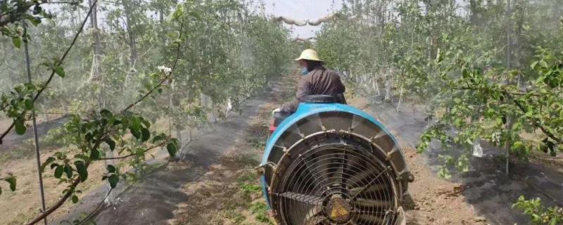 苹果树农药全年配方表，不同季节的使用不同的农药