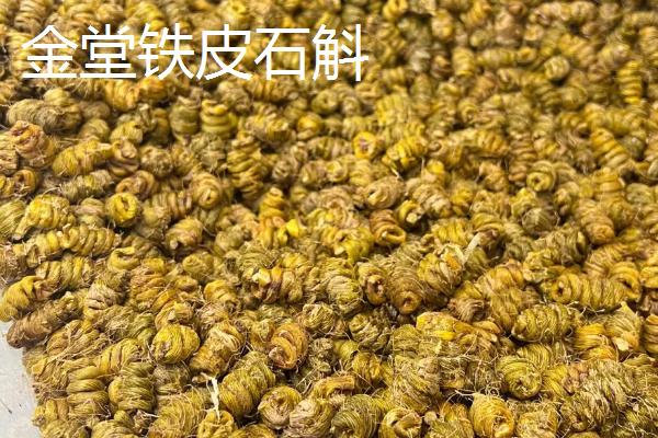 四川省金堂县的特产，金堂铁皮石斛作用好但市场价格很高