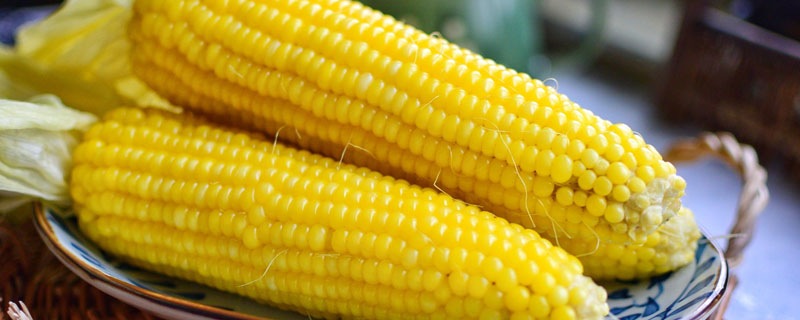 兴丰178玉米种子特点，出苗至成熟116天左右