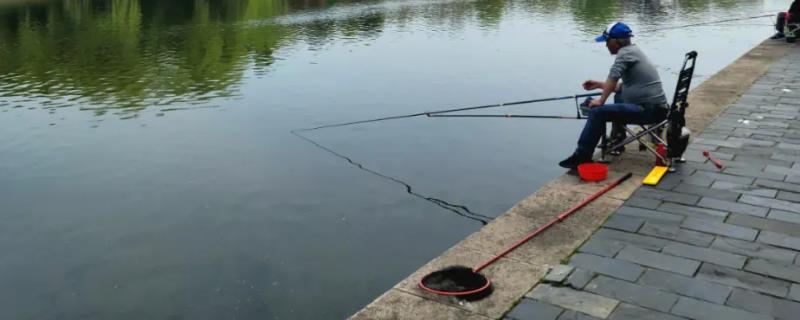 初春钓鱼用多长的竿，选择短一些的鱼竿更合适