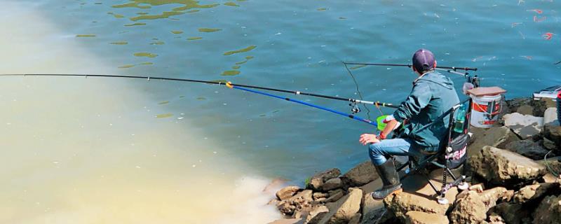 钓草鱼一般离底多高合适，通常至少离底0.3米以上
