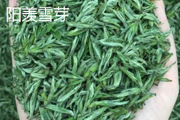 江苏名茶推荐，介绍排行榜前十名