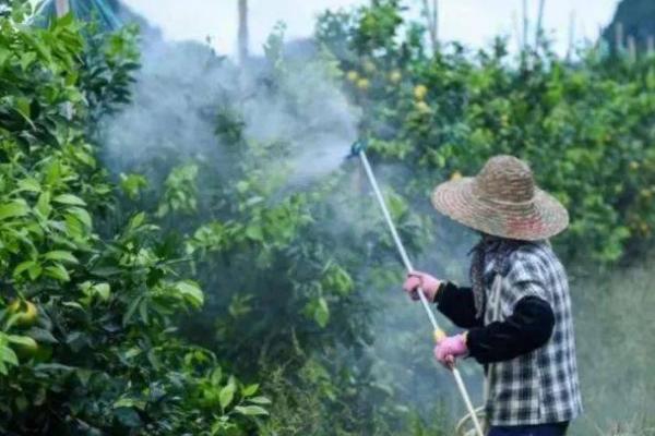 丙环唑有什么作用和用途，具有保护和治疗作用、可防治多种真菌引发的病害