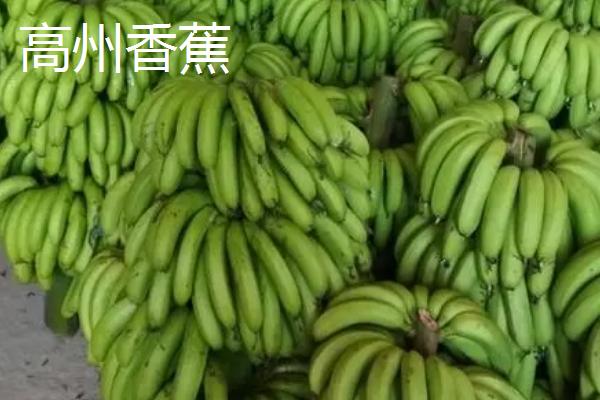 广东省高州市的特产，储良龙眼是著名优良品种