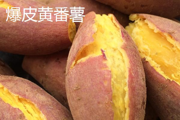 广东省高州市的特产，储良龙眼是著名优良品种