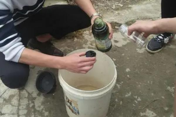 十滴水杀虫比例怎样配，通常500ml的十滴水兑水1kg