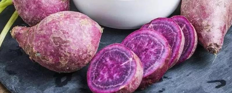 紫薯有哪些品种，以下10种产量高抗病能力强