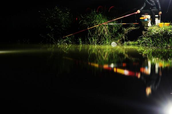 草鱼能否夜钓，可以垂钓、钓法正确即可上钩