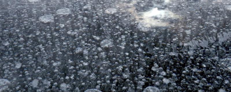 冰面气泡比较多是下面有鱼吗，需根据气泡形状、大小和多少来分辨