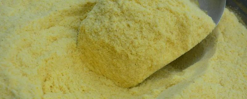 膨化玉米粉是什么，是玉米加工后产生的淀粉糊化物