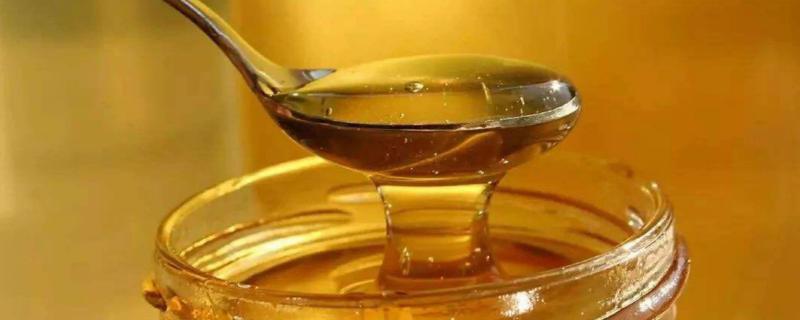 桉树蜜和蜂蜜的区别，桉树蜜是蜂蜜的一种