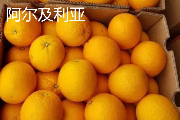 夏橙是夏季成熟的吗，属于夏季成熟的水果