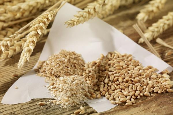 小麦的播种量，半冬时节1亩地可播种9公斤