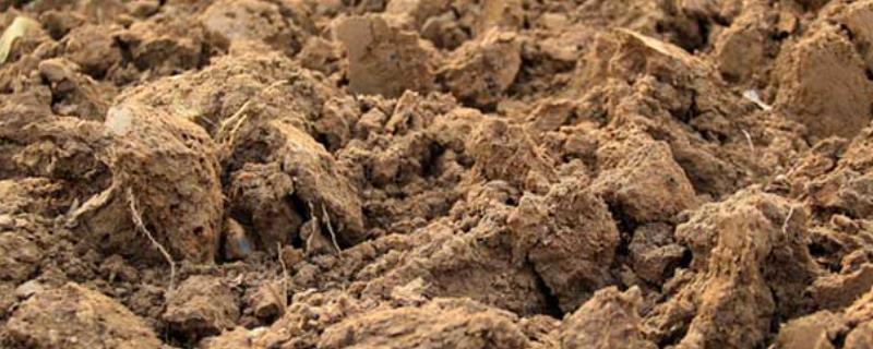 土壤的改良方法，不同的土壤有不同的改良方法