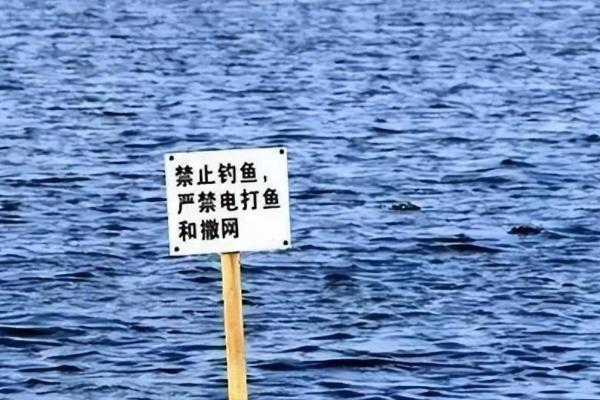 禁渔期相关介绍，是指在规定水域内严禁捕捞或进行某类作业