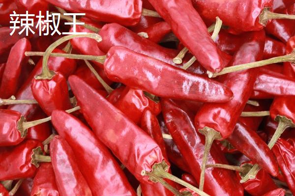 子弹头辣椒和辣椒王的区别，外观、口感和食用方式均不同