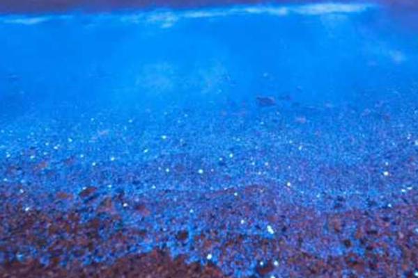 夜光藻发光的原因，细胞质中含有大量的荧光素