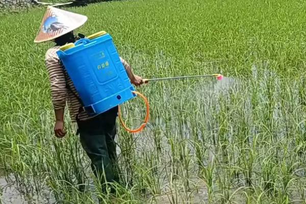矿源黄腐酸钾的用量，与作物种类、所处时期、施肥方式等条件有关