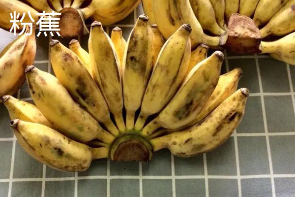 香蕉的产地，原产地是东南亚