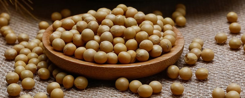 中黄311大豆品种简介，亩种植密度5万株