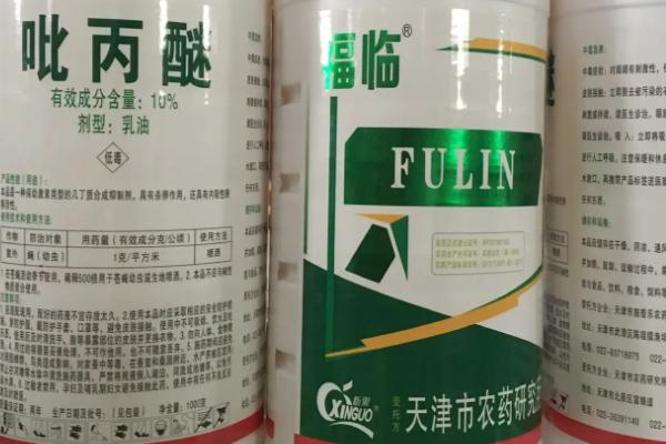 蚧壳虫专用农药，常用吡丙醚、螺虫乙酯和毒死蜱