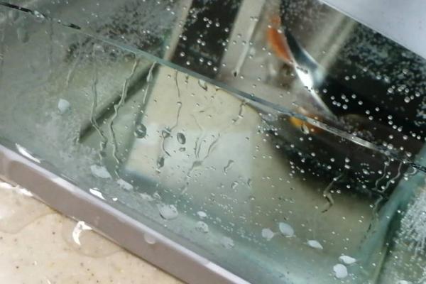 鱼缸渗水的原因，可能是长时间震动或者老化导致