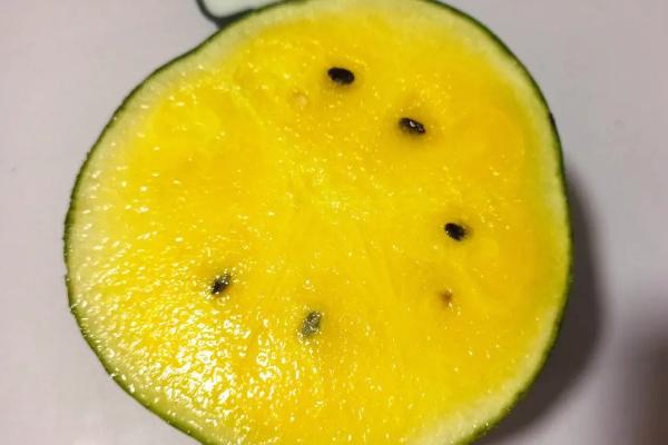 黄瓤的西瓜怎么来的，是由它的基因决定了