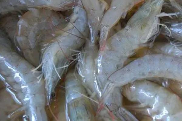 淡水虾的品种，常见的有青虾、草虾、中国对虾等