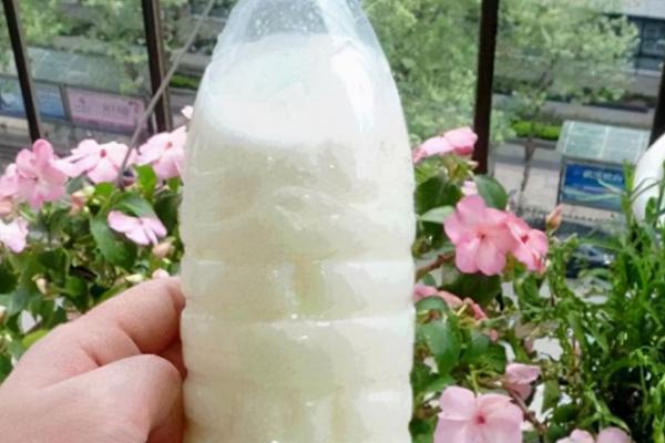 牛奶发酵后适用于哪些植物，适合浇喜酸的植物