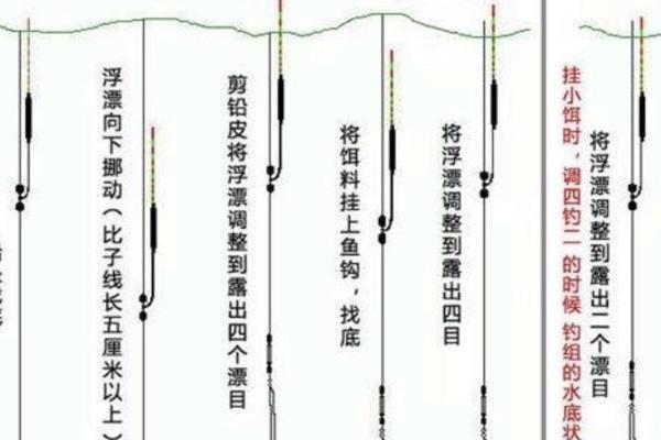 顿口最清楚的是调几钓几，调四钓二、调五钓二、调五钓三等都能出现清晰的顿口