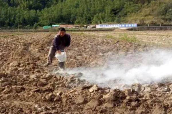 烧碱可以改良酸性土壤吗，不可以用于酸性土壤改良