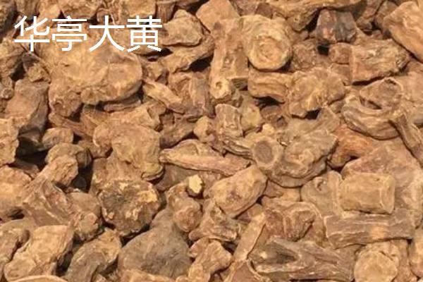 甘肃省民乐县的特产，产出的苹果梨具有中国一代梨王的美誉