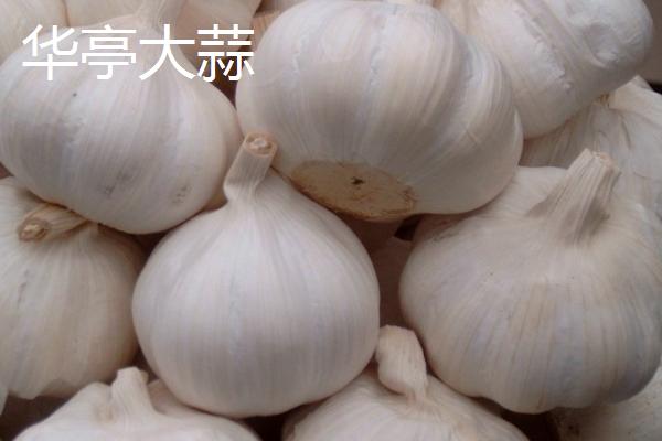 甘肃省民乐县的特产，产出的苹果梨具有中国一代梨王的美誉