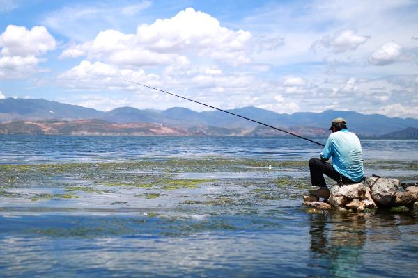 钓鳊鱼技巧，可用3.6-6.3米的手竿