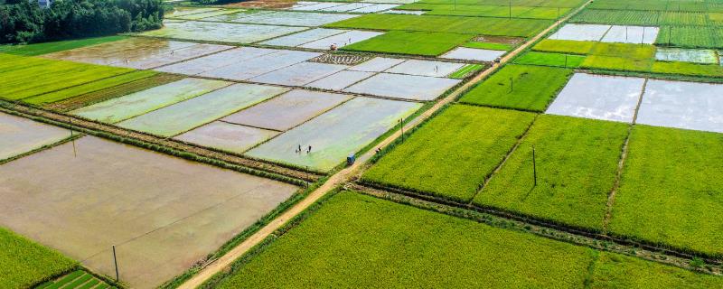 高标准农田建设的目的，目的在于保证我国的粮食产量、安全等