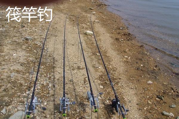 传统钓钓法介绍，是被钓鱼人用得最广且最普遍的钓法