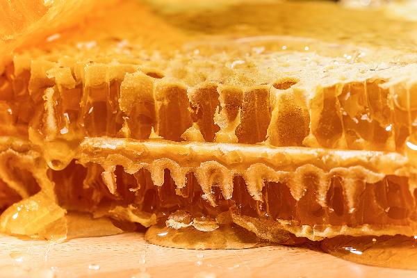 怎么吃蜂巢蜜，可直接放在嘴中咀嚼