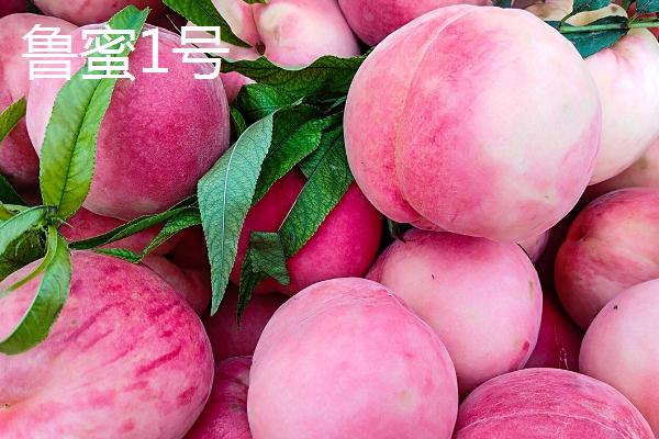 秦王桃的价格，每斤价格在4-5元