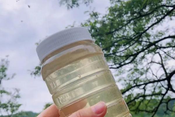 洋槐蜜30块一斤是不是正品，正宗的洋槐蜜一般不便宜