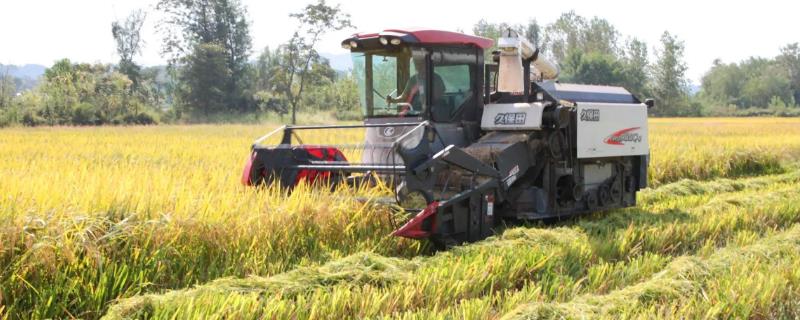 水稻收割机推荐品牌，久保田运载方便且性能较高