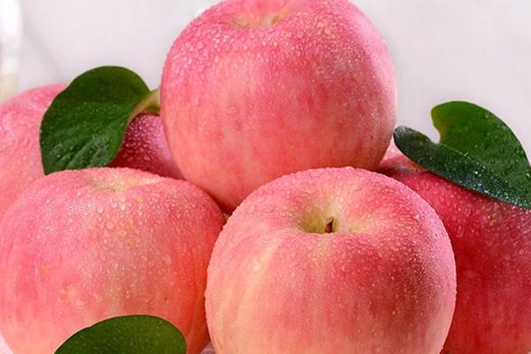 哪里的富士苹果比较好吃，洛川富士苹果海外闻名
